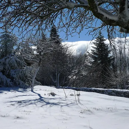 別荘 Casa Da Serra