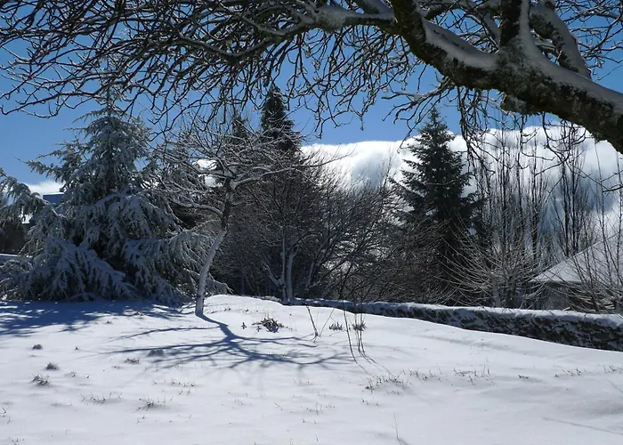 Vakantiehuis Casa Da Serra